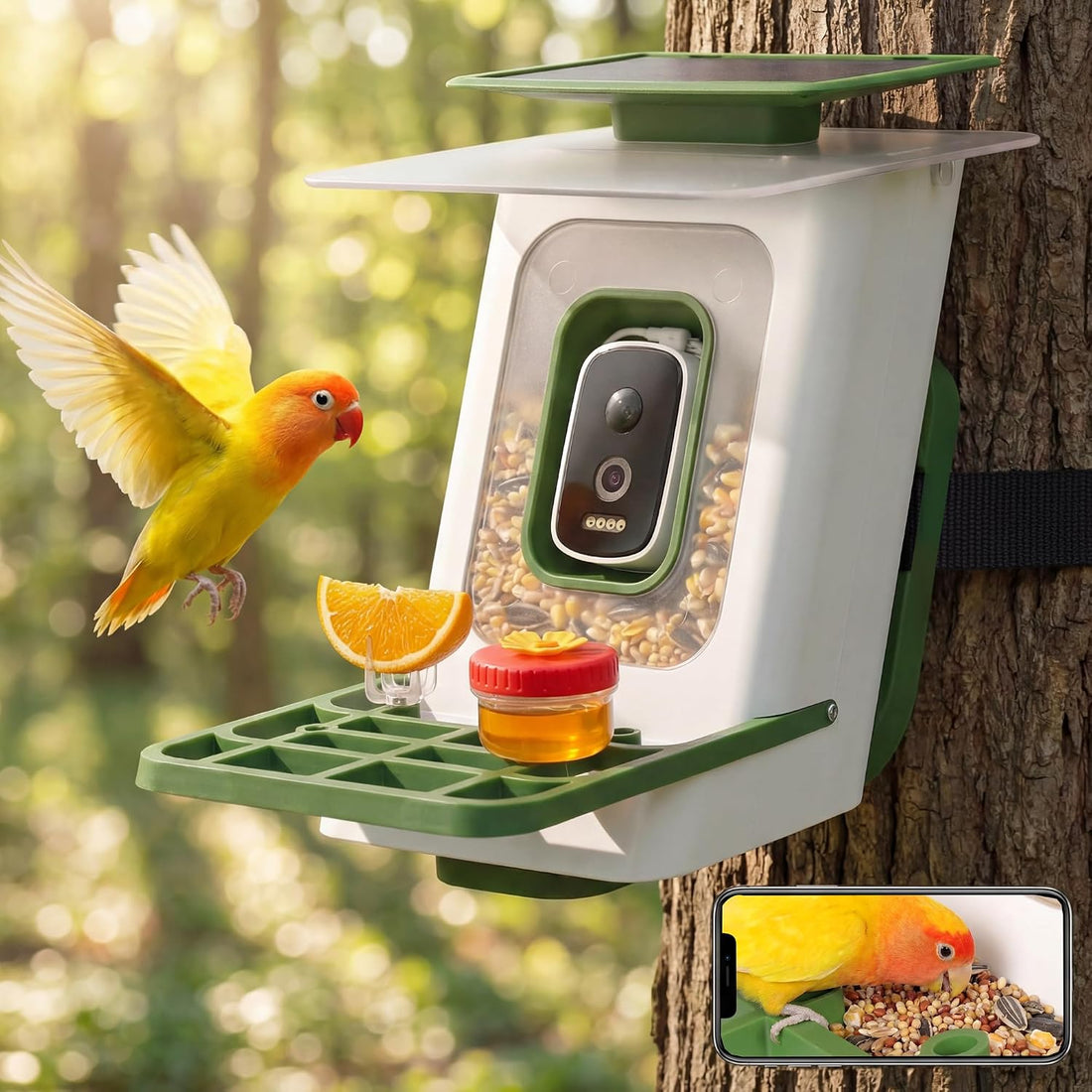 LAUSAINT HOME Smart Bird Feeder with Camera, Solar Powered AI Bird Recognition Bird Camera