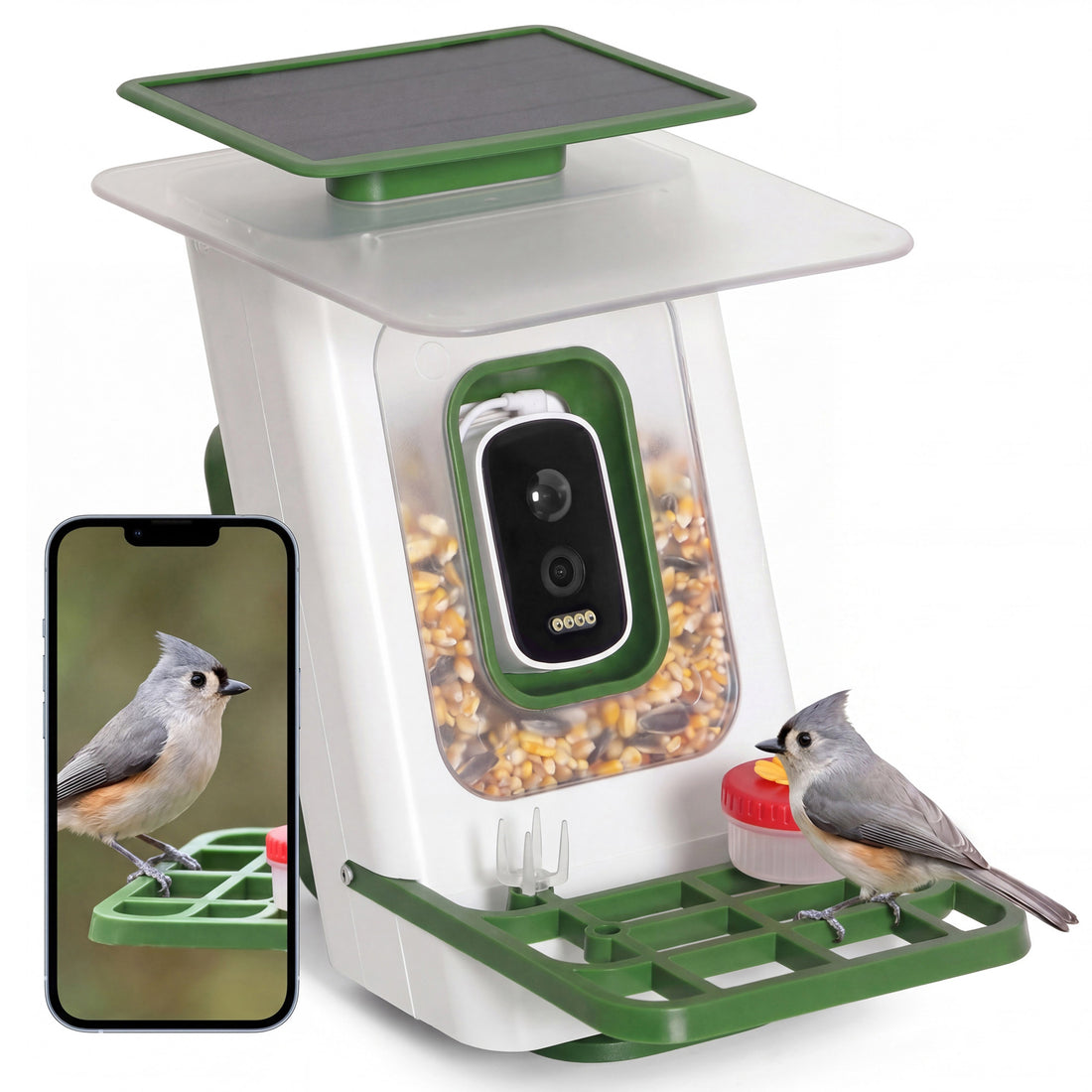 LAUSAINT HOME Smart Bird Feeder with Camera, Solar Powered AI Bird Recognition Bird Camera