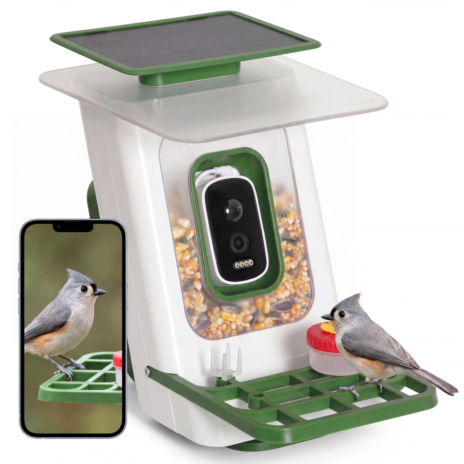 LAUSAINT HOME Smart Bird Feeder with Camera, Solar Powered AI Bird Recognition Bird Camera