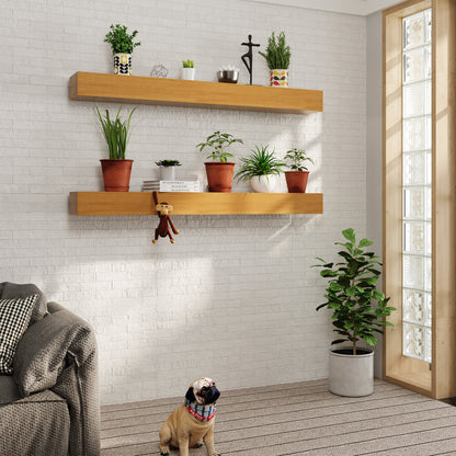 LAUSAINT HOME Floating Mantel Shelf