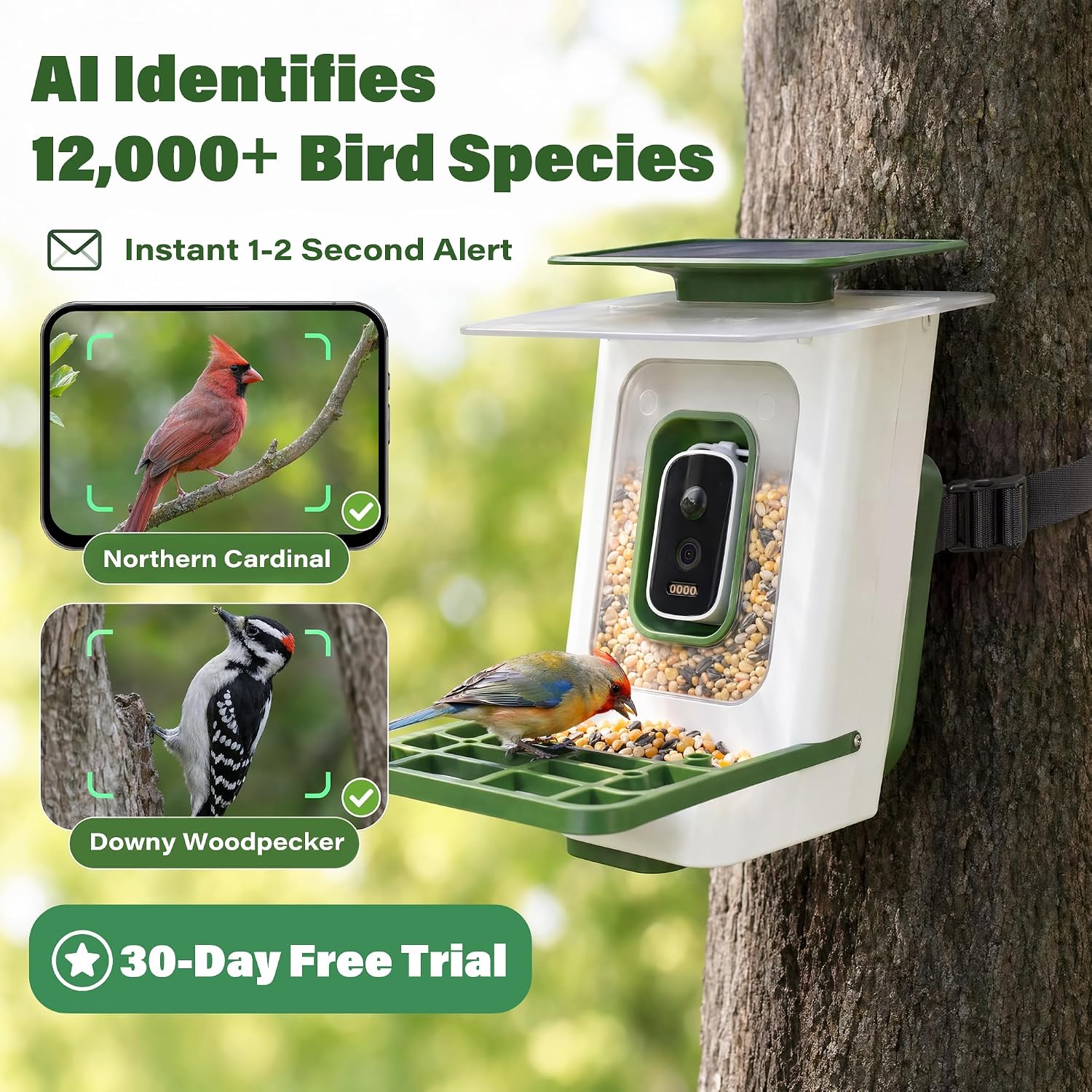 LAUSAINT HOME Smart Bird Feeder with Camera, Solar Powered AI Bird Recognition Bird Camera