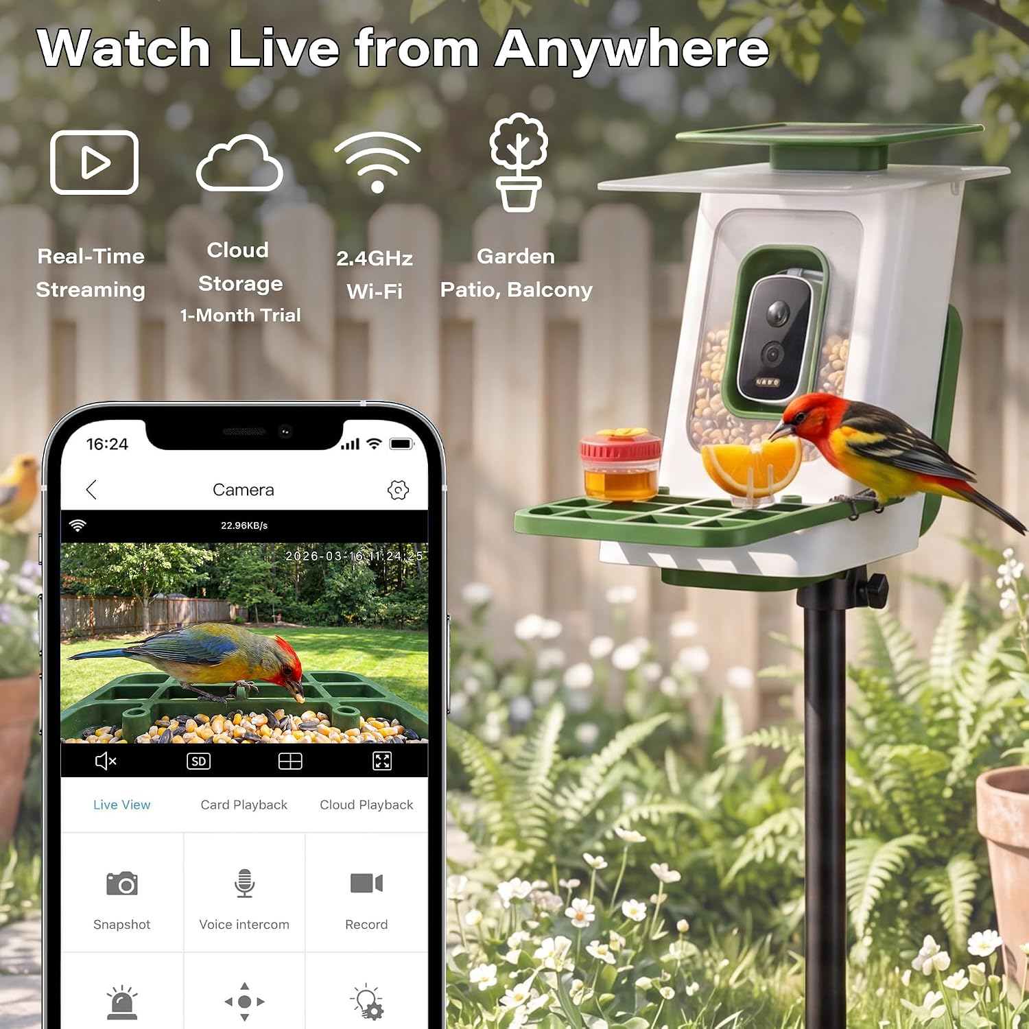 LAUSAINT HOME Smart Bird Feeder with Camera, Solar Powered AI Bird Recognition Bird Camera