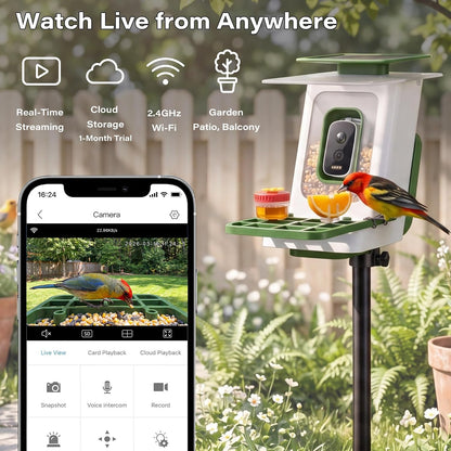 LAUSAINT HOME Smart Bird Feeder with Camera, Solar Powered AI Bird Recognition Bird Camera